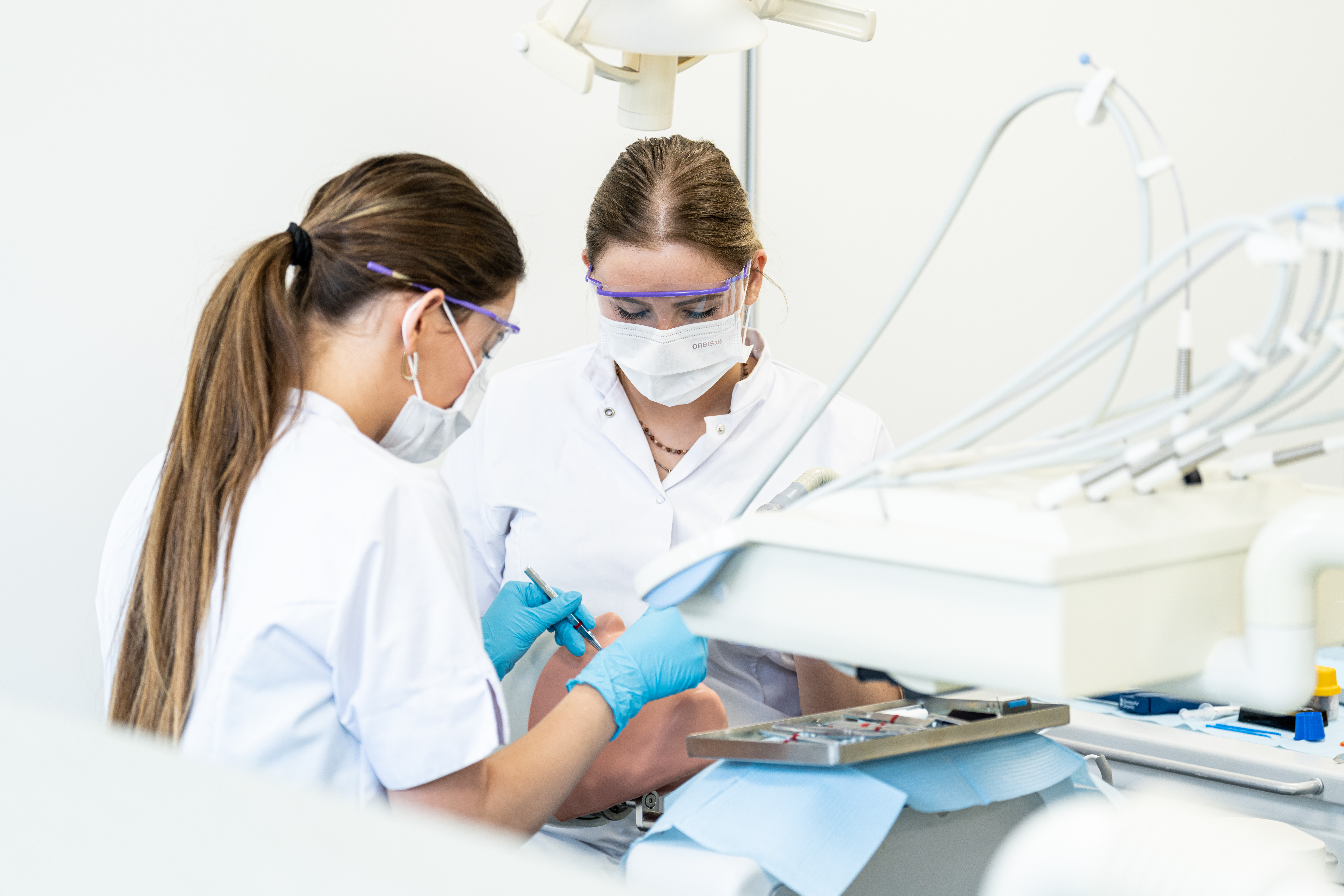 Tandartsassistent bol | Koning Willem I College